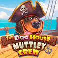 Dogs Yohoho Casino